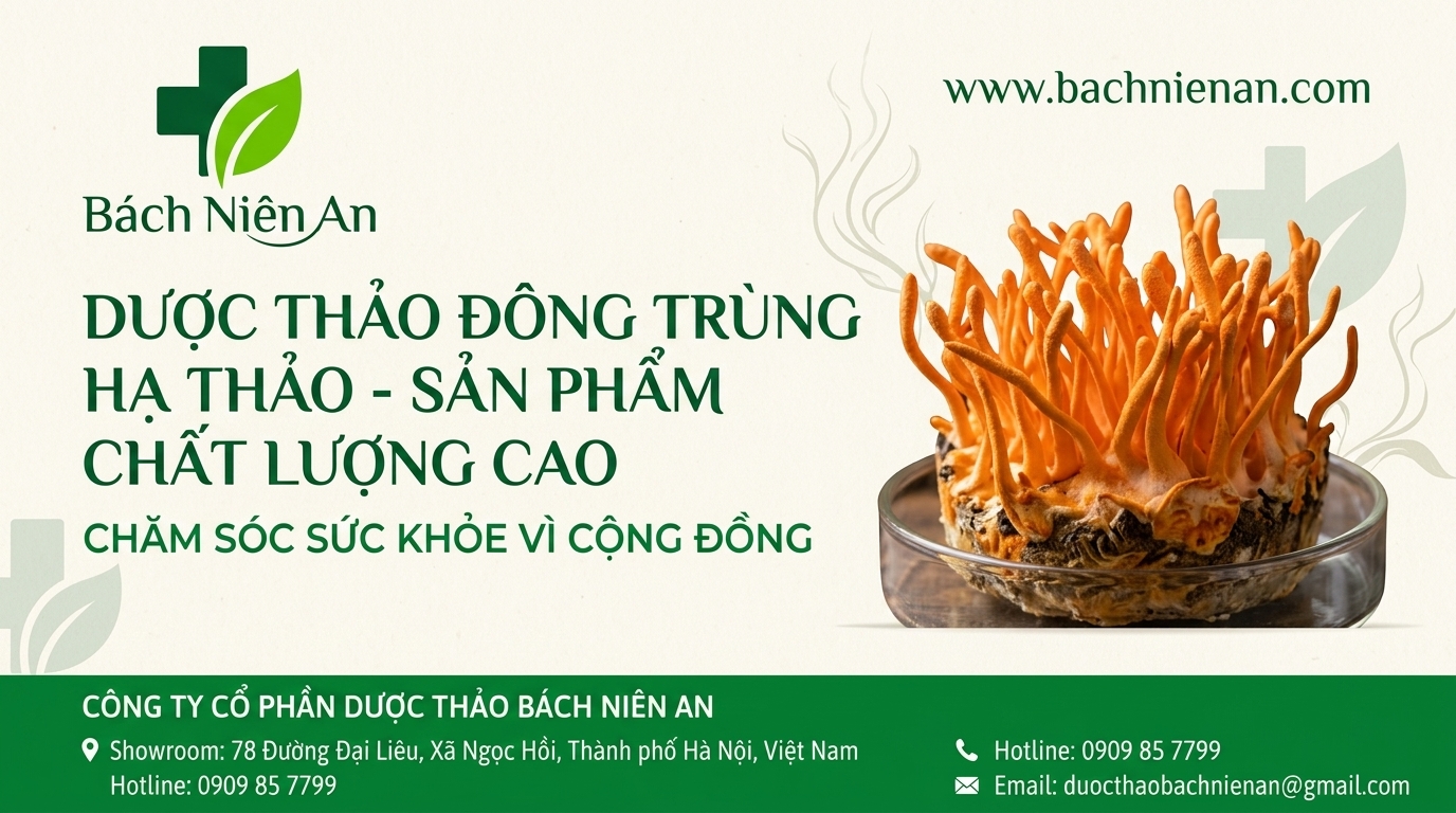 Dược thảo đông trùng hạ thảo sản phẩm chất lượng cao