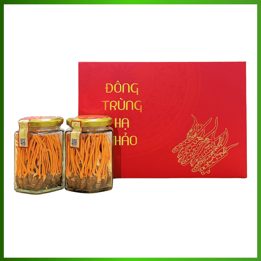 Đông Trùng Hạ Thảo Nguyên Con