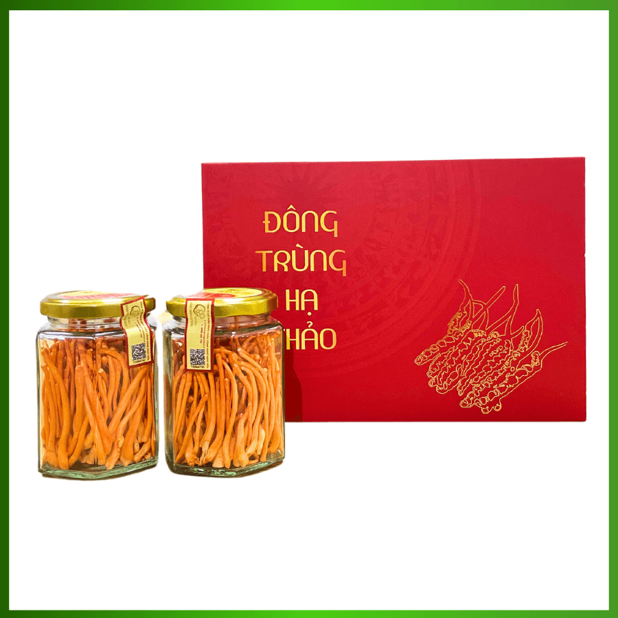 Đông Trùng Hạ Thảo Quả Thể Khô