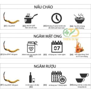 Đông Trùng Hạ Thảo Nguyên Con - hình ảnh 7