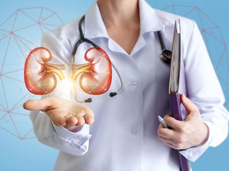 Những tác dụng của đông trùng hạ thảo với bệnh thận