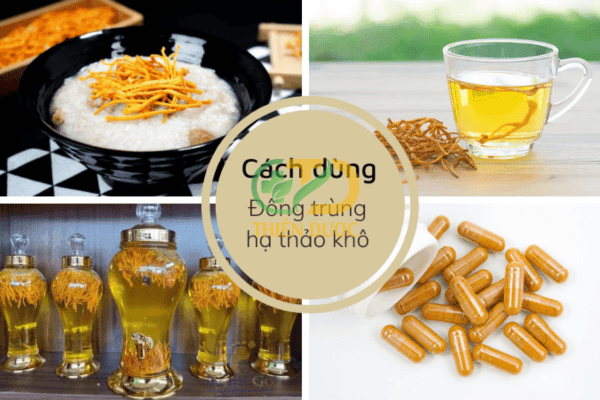 Cach-su-dung-dong-trung-ha-thao-kho-rat-da-dang