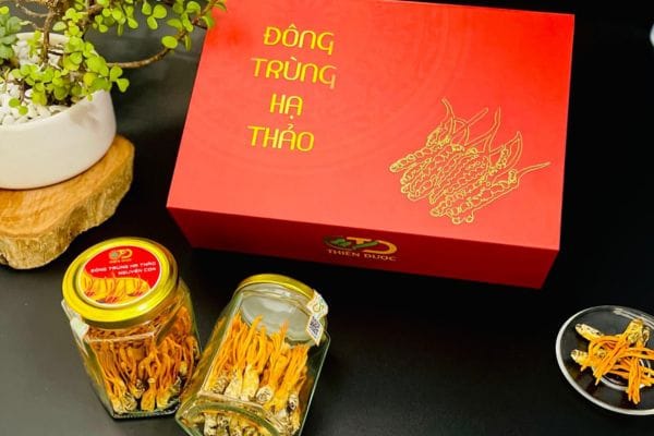 Dong-trung-ha-thao-chua-nhieu-hoat-chat-quy-giup-boi-bo-suc-khoe