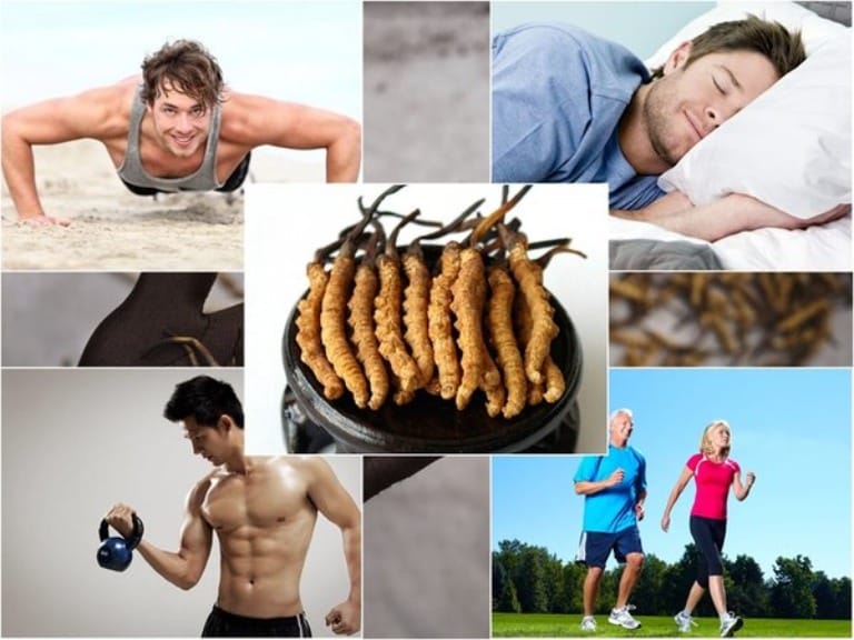 Ai có thể dùng được đông trùng hạ thảo?