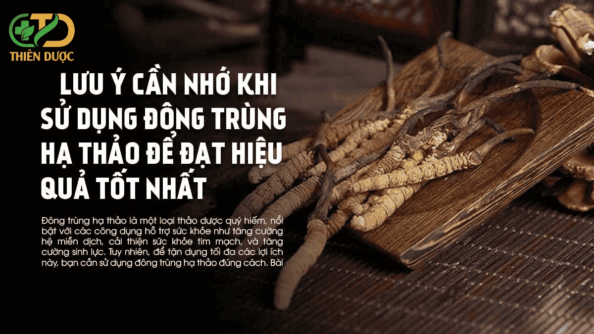 Nhung-diem-can-luu-y-khi-su-dung-dong-trung-ha-thao-cho-nguoi-huyet-ap-thap