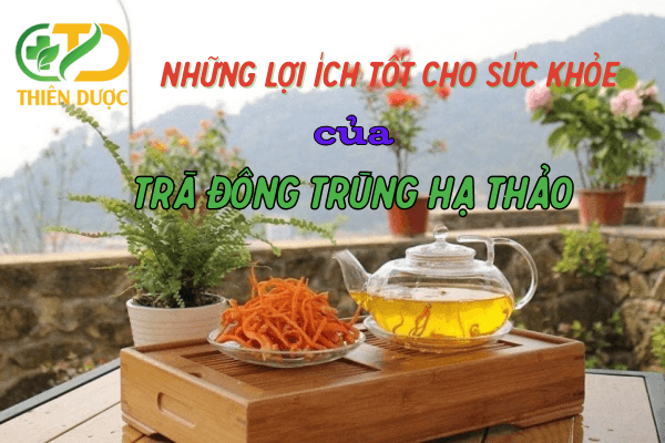 Nhung-loi-ich-cua-tra-dong-trung-ha-thao