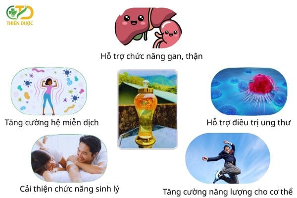 Tac-dung-cua-ruou-dong-trung-ha-thao