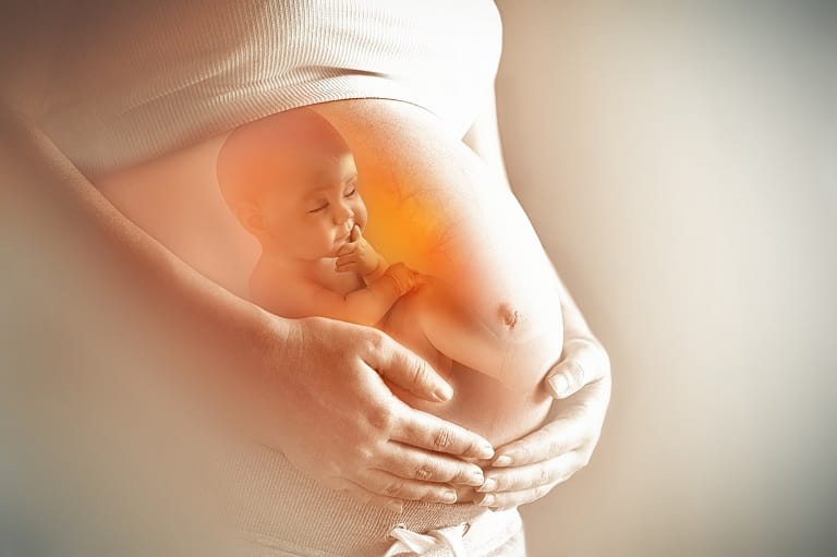 Tác dụng của đông trùng hạ thảo với bà bầu