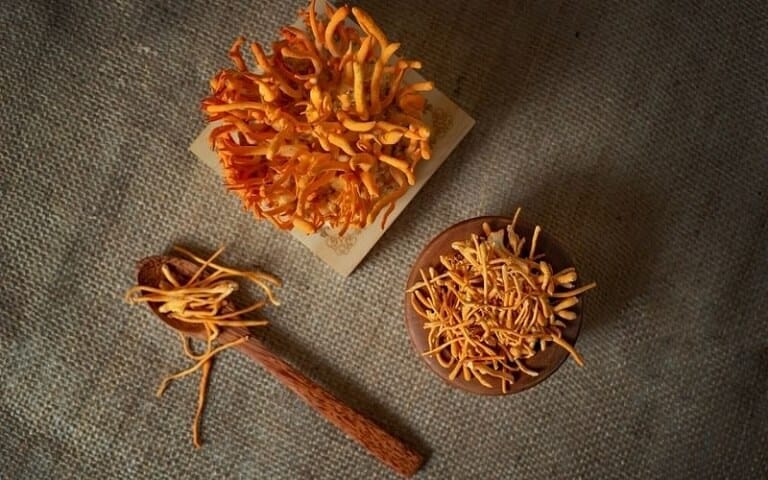 Đông trùng hạ thảo tươi bổ như thế nào? Phân tích thành phần dược chất