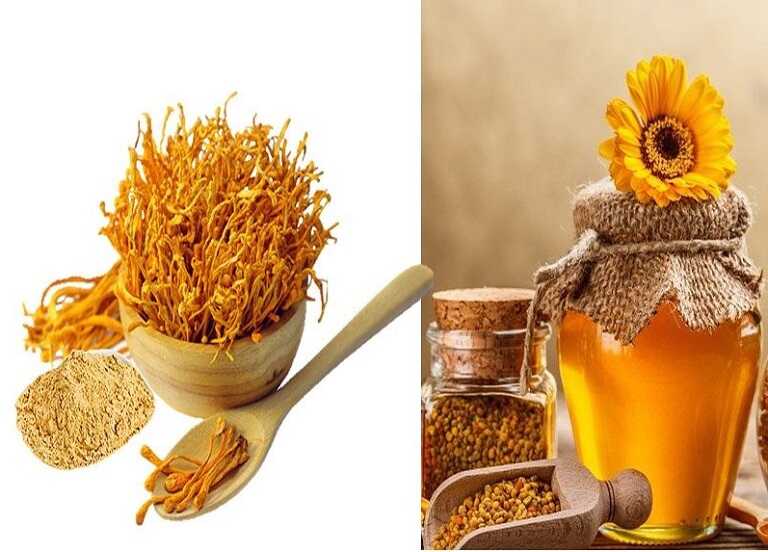 Đông trùng hạ thảo khô ngâm mật ong: Cách chế biến và công dụng