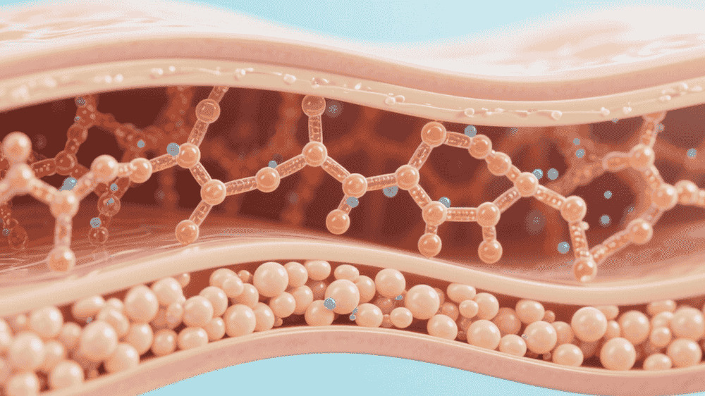 Collagen và Mãn Kinh: Giải Pháp Toàn Diện Cho Làn Da