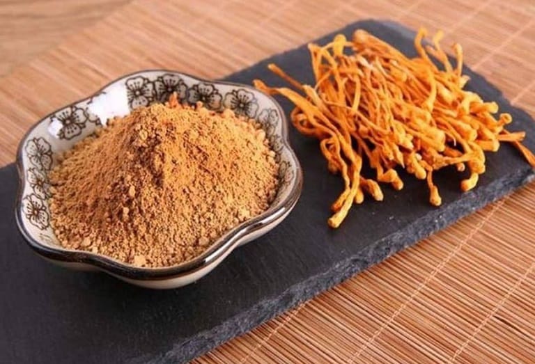 Đông trùng hạ thảo chữa bệnh gì? Liều lượng sử dụng?