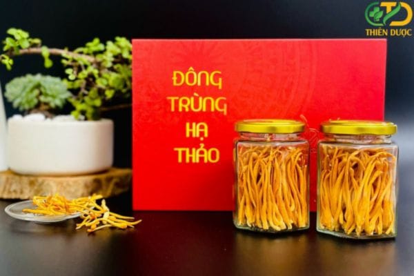 dong-trung-ha-thao-giup-tang-cuong-mien-dich-nang-cao-suc-khoe