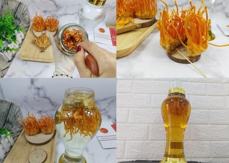 Đông trùng hạ thảo ngâm rượu có tác dụng gì? Cách ngâm ?