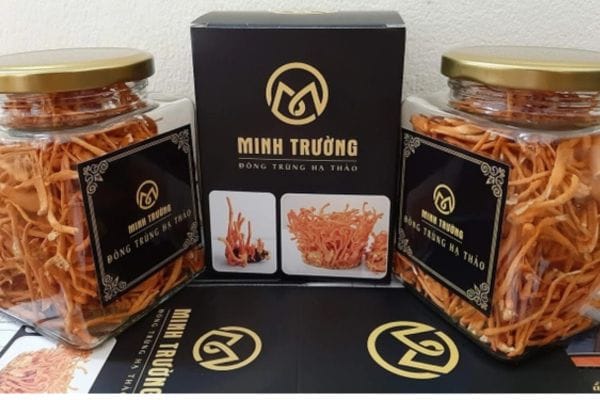 dong-trung-ha-thao-thao-minh-truong