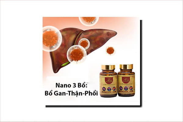 dong-trung-ha-thao-ho-tro-chuc-nang-gan