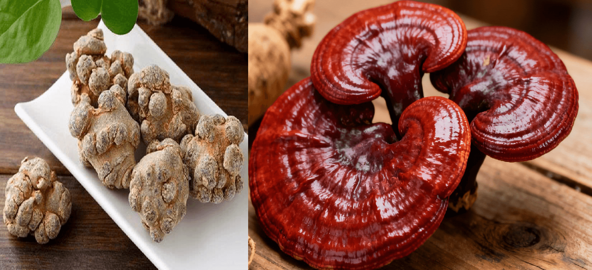 dùng linh chi + tam thất + đông trùng, combo bổ dưỡng