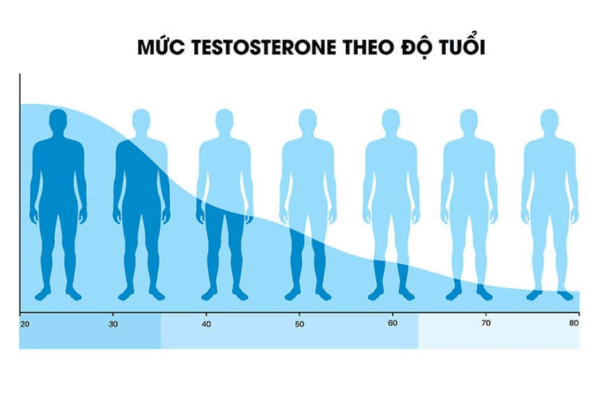 Sinh Lý Theo Tuổi: Cách Duy Trì Phong Độ Nam Giới Bền Vững