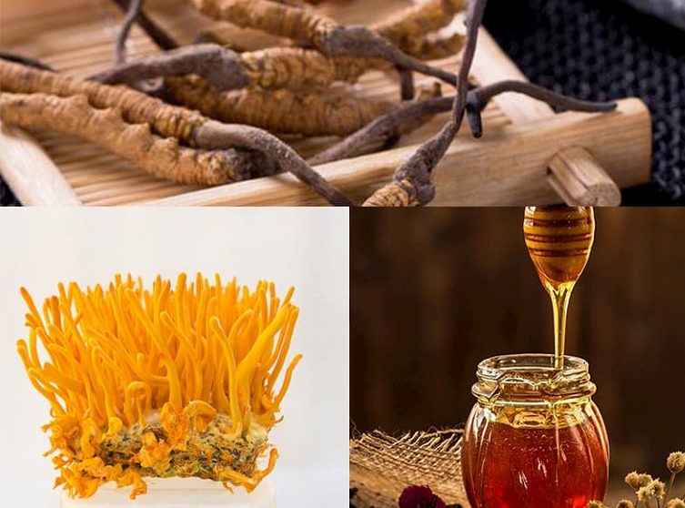 Đông trùng hạ thảo ngâm mật ong: Tác dụng và cách dùng