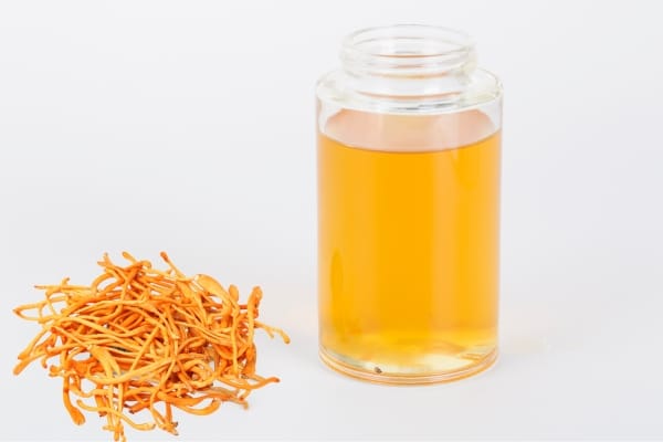 Nước đông trùng hạ thảo – Bí quyết bồi bổ cơ thể nhanh cho người bận rộn