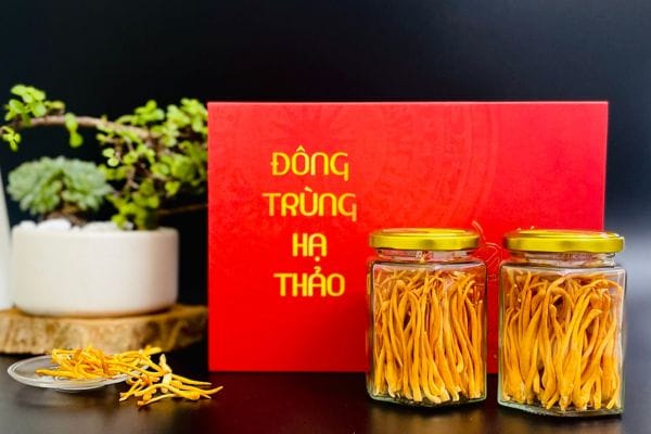 qua-the-dong-trung-ha-thao-say-kho