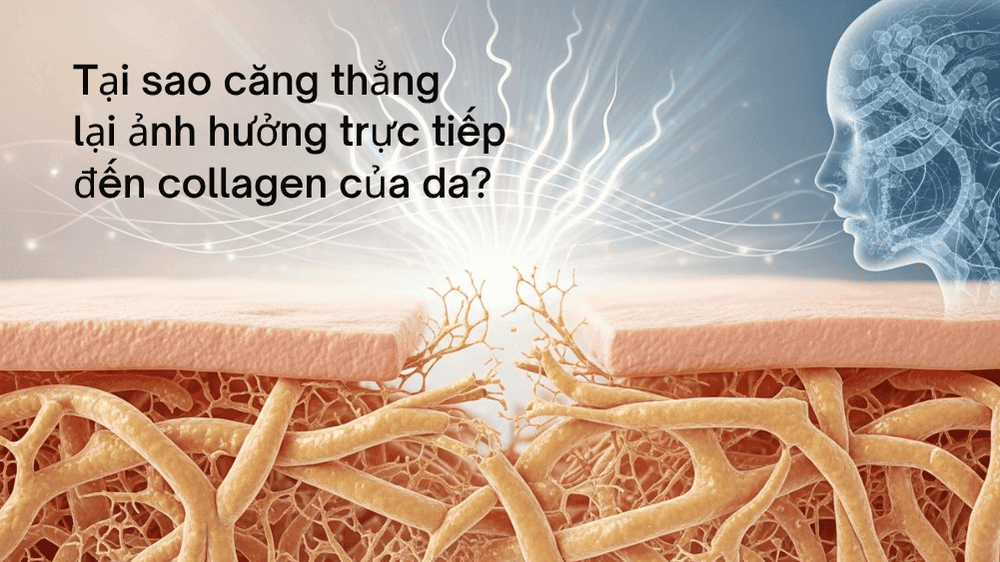 Collagen và stress: Khi căng thẳng khiến da nhanh lão hóa