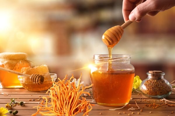 Tiểu đường dùng đông trùng hạ thảo mật ong được không?